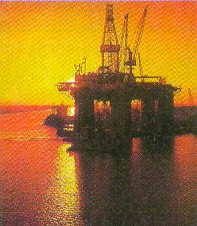 H2S resistant seals, packers, and o-rings